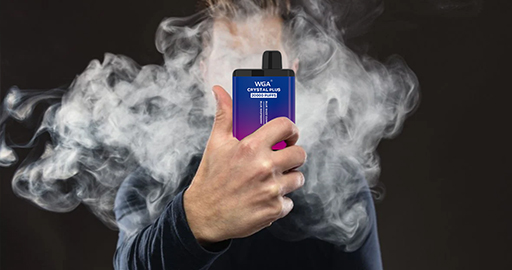 WGA vape shop | Sind Einweg-Vaporizer besser als wiederaufladbare Vaporizer?